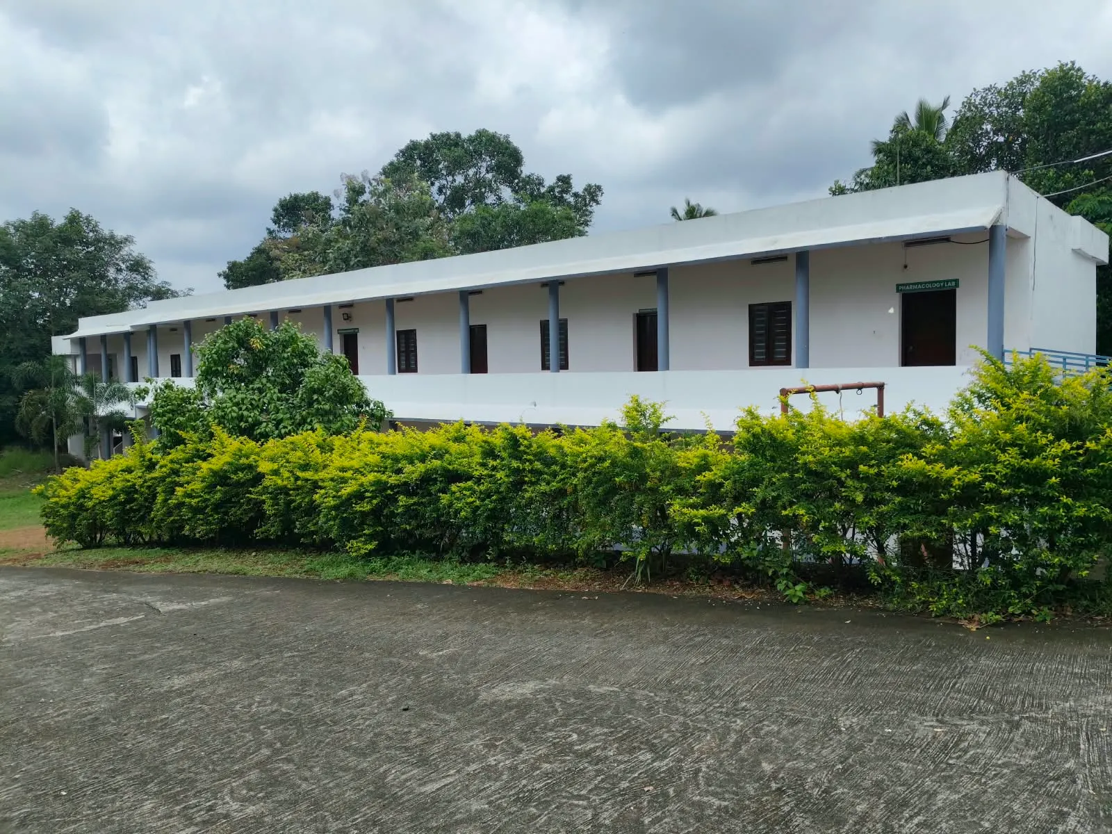 Campus View & Lush Foliage